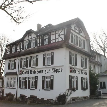 Waldhaus Zur Koppe Bad Klosterlausnitz