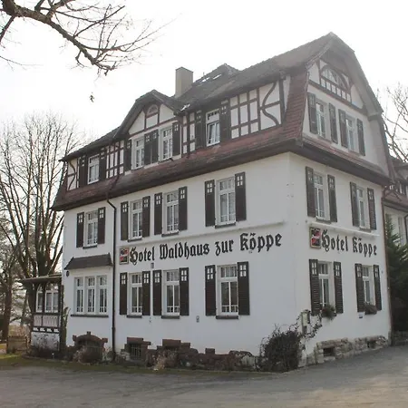 Ξενοδοχείο Waldhaus Zur Koppe 2*